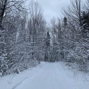 Meet your Posher, Elsa